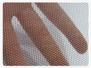 Stainless Steel Wire Mesh