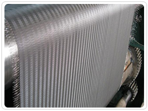 Stainless Steel Wire Mesh