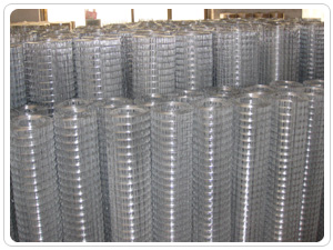 Welded Wire Mesh