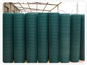 Welded Wire Mesh
