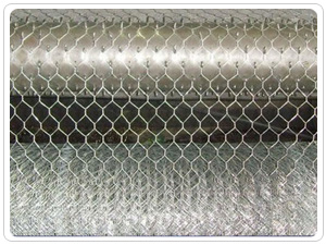 Hexagonal Wire Mesh